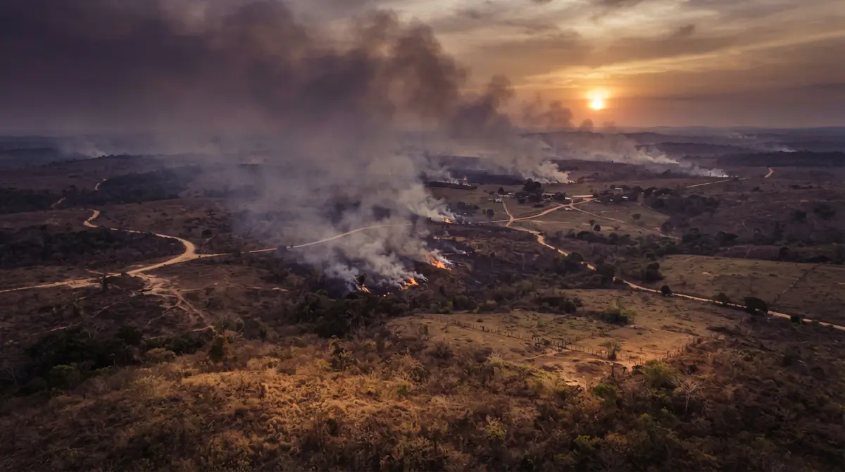 Aerial perspective of a drought-affected Amazon basin showing brush fires along the forest edge