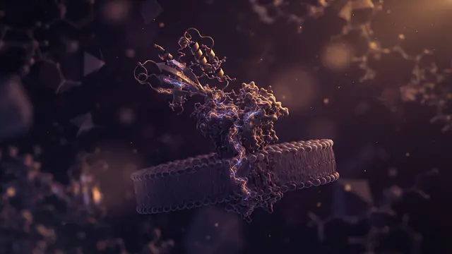 3D visualization of a molecular protein binder structure with highlighted amino acid residues